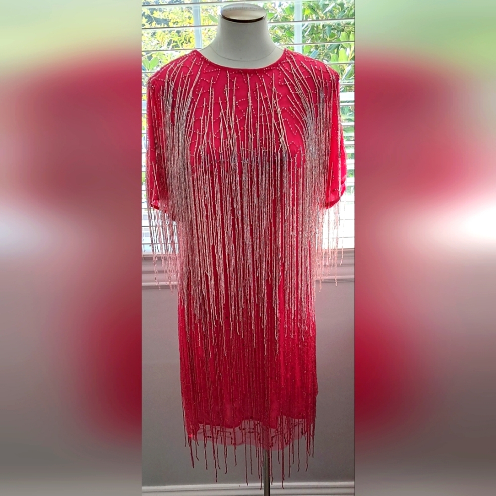 Nasty Gal Pink and Silver Fringe Dress